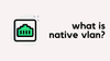 What is a Native VLAN and how does it work?